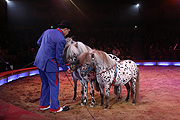 Tonito Alexis  (©Foto: Martin Schmitz)